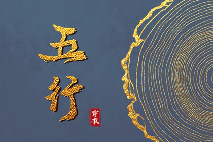 紫微盘详解,本命盘解析,八字桃花命盘查询,元亨紫微排盘